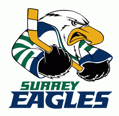 Surrey Eagles 2003-2010 Primary Logo iron on transfers for T-shirts